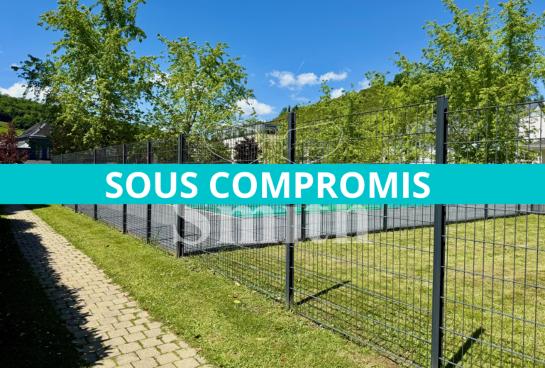 EXCLUSIVITÉ SMITH: APPARTEMENT T3 AVEC PISCINE