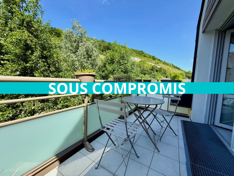 NOUVEAUTÉ SMITH: APPARTEMENT T2 AVEC TERRASSE