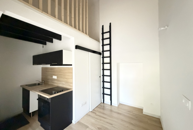 NOUVEAUTÉ SMITH : APPARTEMENT 1 PIÈCE