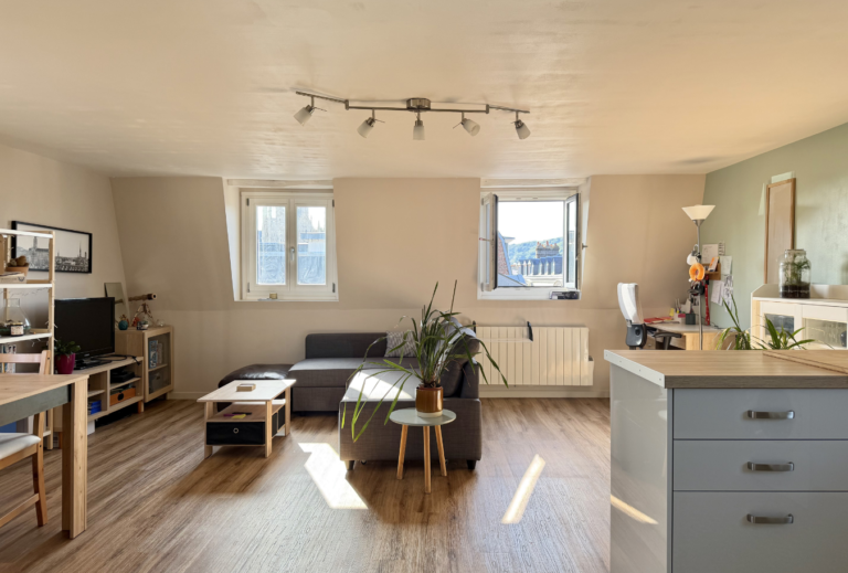 EXCLUSIVITÉ SMITH : APPARTEMENT 2 PIÈCES/ 1 CHAMBRE
