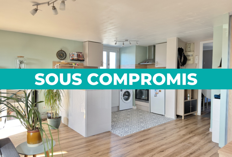 EXCLUSIVITÉ SMITH : APPARTEMENT 2 PIÈCES/ 1 CHAMBRE