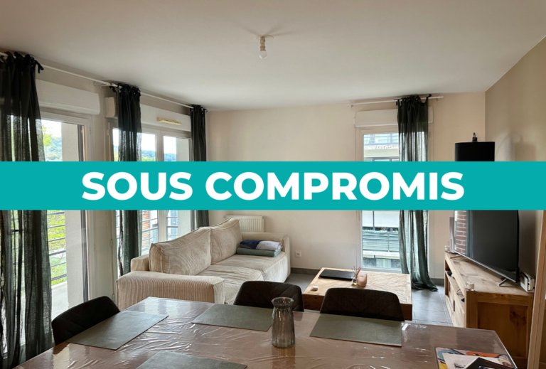 EXCLUSIVITÉ SMITH: APPARTEMENT LUMINEUX 2 PIÈCES 3 CHAMBRES