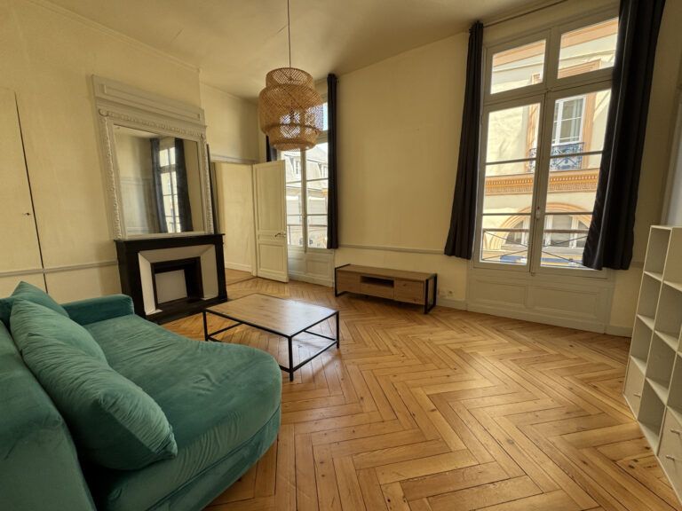 GRAND APPARTEMENT : HYPER CENTRE