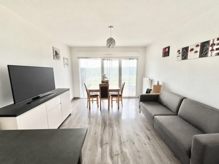 EXCLUSIVITÉ SMITH : APPARTEMENT T2 AVEC TERRASSE ET PARKING