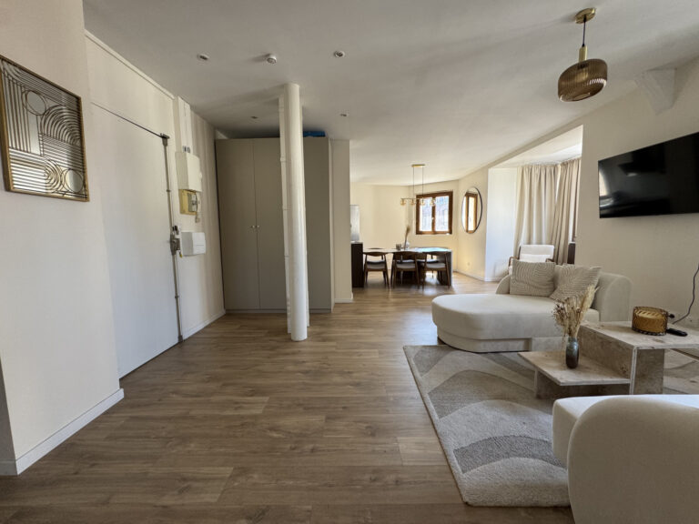 GRAND APPARTEMENT T3 MEUBLE / PARKING