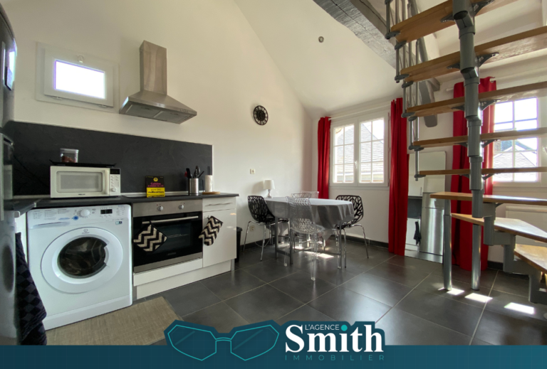 EXCLUSIVITÉ SMITH : APPARTEMENT F2 DUPLEX MEUBLÉ  QUARTIER S