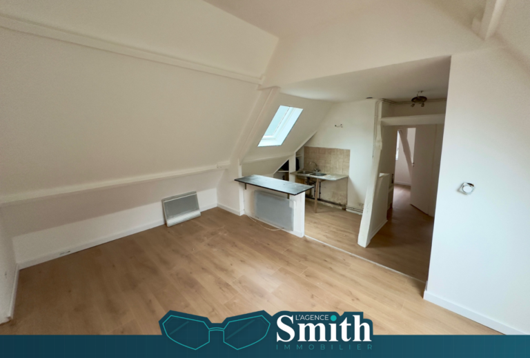 EXCLUSIVITÉ SMITH: APPARTMENT 2 PIÈCES / 1 CH