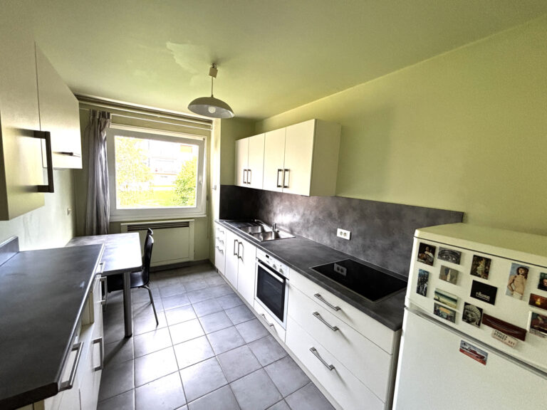 NOUVEAUTÉ SMITH : APPARTEMENT 3 PIÈCES / 1 CHAMBRE (POSSIBIL