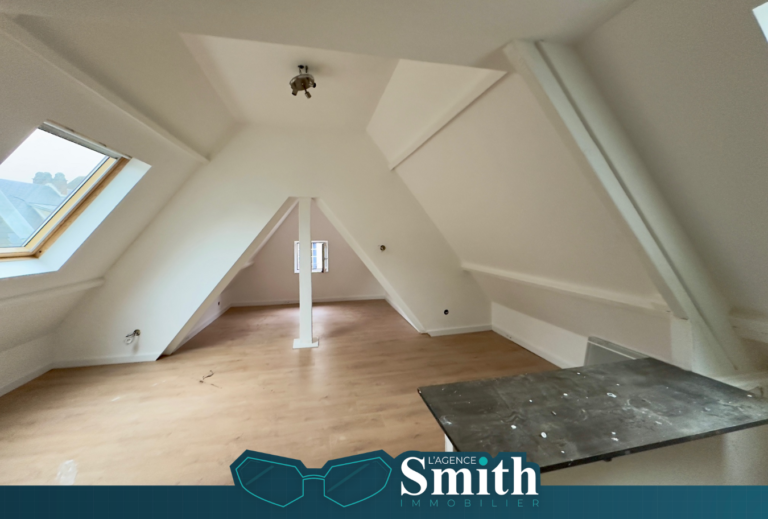 EXCLUSIVITÉ SMITH: APPARTMENT 2 PIÈCES / 1 CH