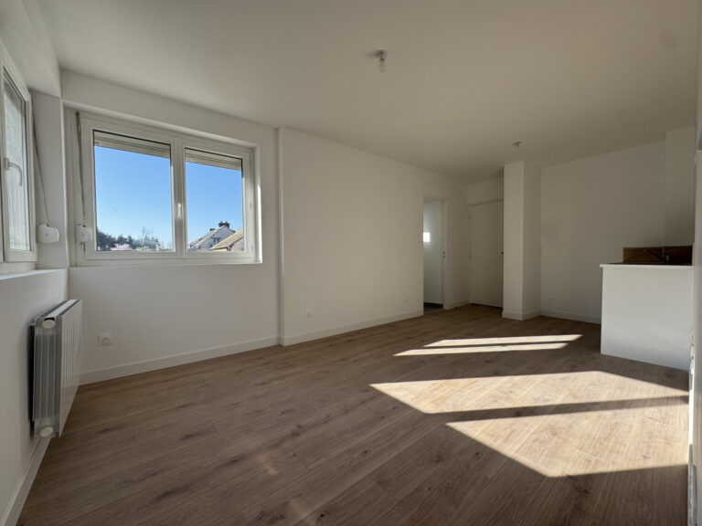 APPARTEMENT T2 REFAIT À NEUF – QUARTIER MAIRIE