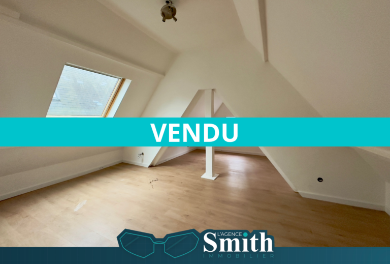 EXCLUSIVITÉ SMITH: APPARTMENT 2 PIÈCES / 1 CH