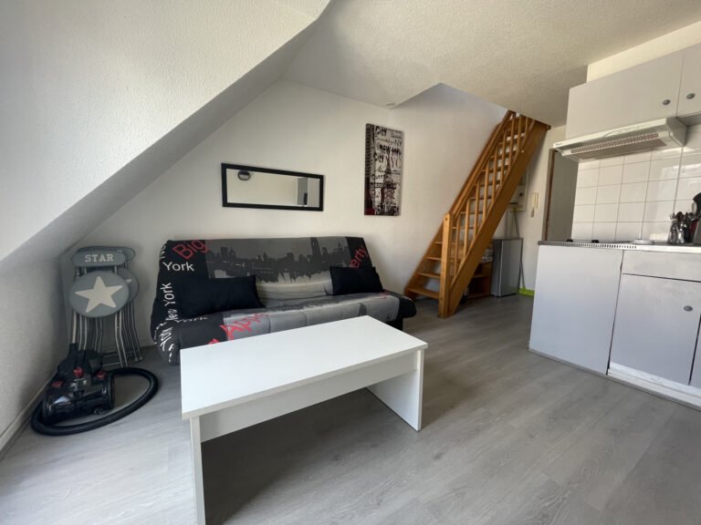 EXCLUSIVITÉ SMITH : DUPLEX F1 BIS MEUBLÉ AVEC PARKING.